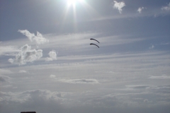 030719 - Porthcawl kite 02