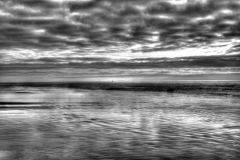 DSC_6620_1_2_Enhanced B&W